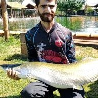 ZeBigode