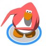 zenextreme