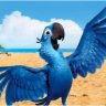 Rio_ThiieF