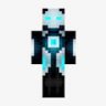 Skyjer