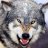 xWolf_